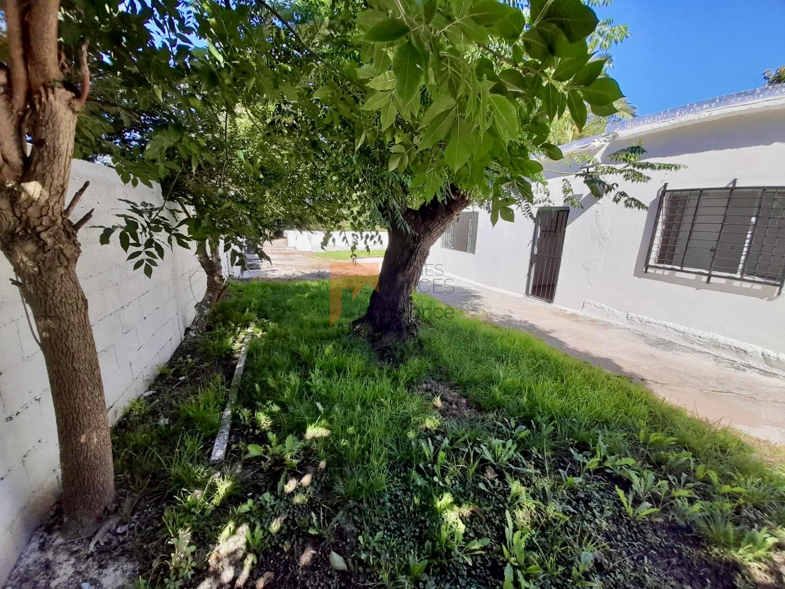 Padrón con 2 casas, Flor de Maroñas