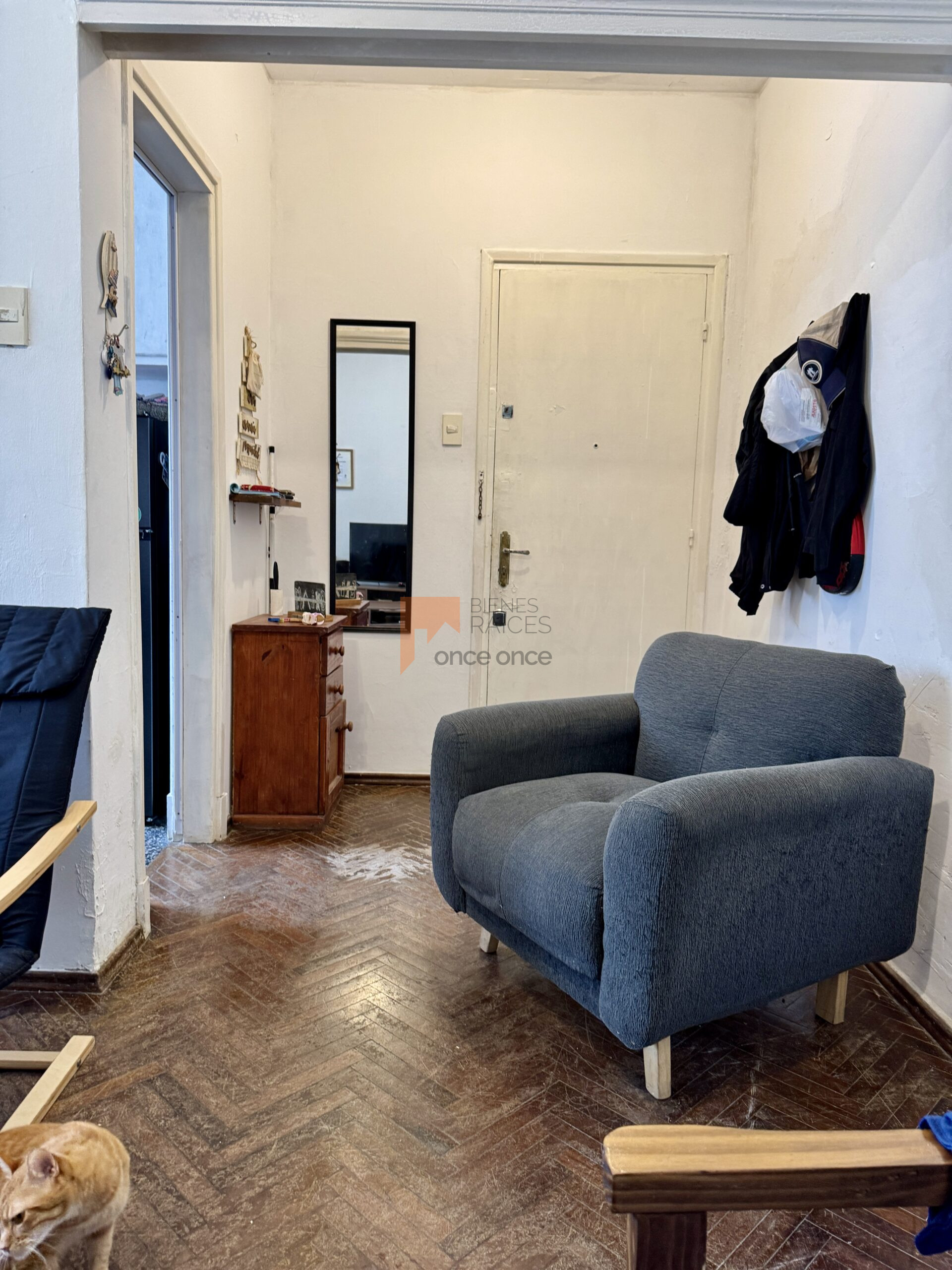 1 dormitorio, Cordón