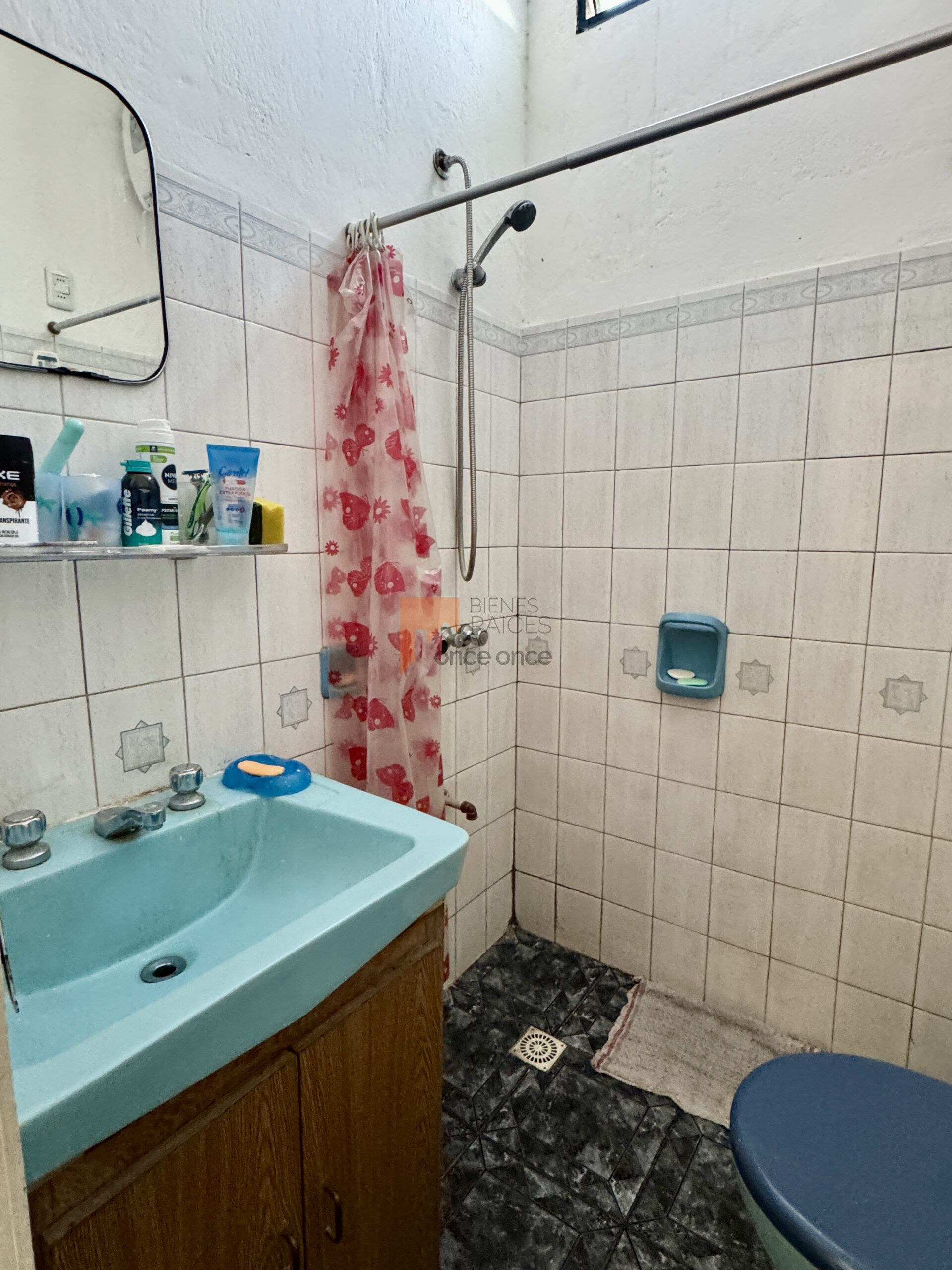 Padrón con 2 casas, Flor de Maroñas