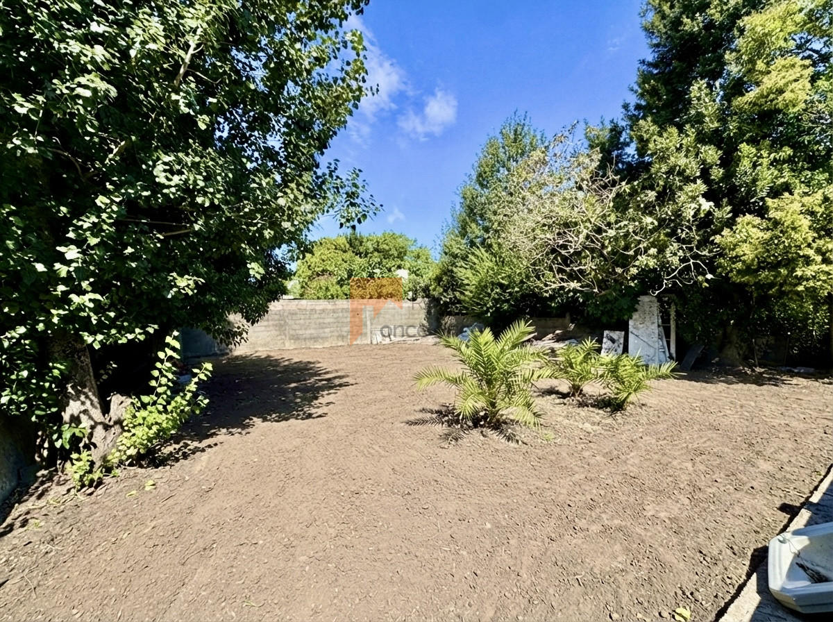 Padrón con 2 casas, Flor de Maroñas