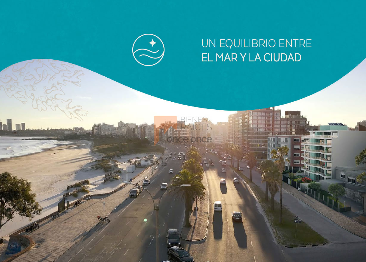 Cordelia, Unidades de 1 y 2 d