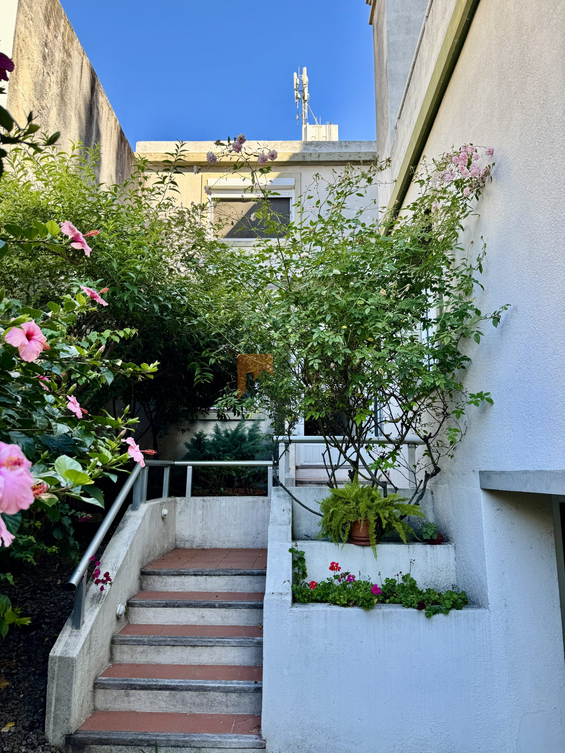 Casa En Pocitos, 5 Dormitorios