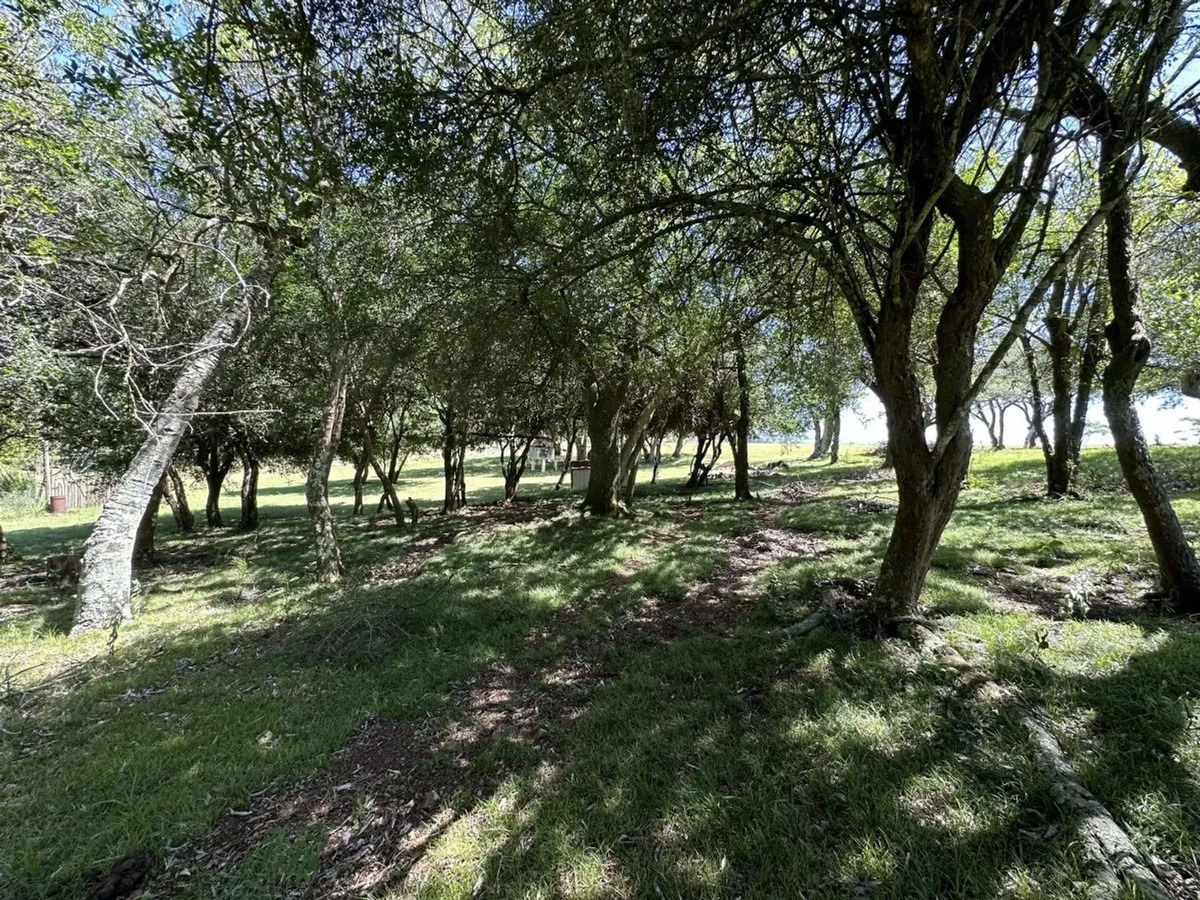 Chacra En Venta, Pueblo Edén Maldonado, 8.5has, Piscina, Huerta