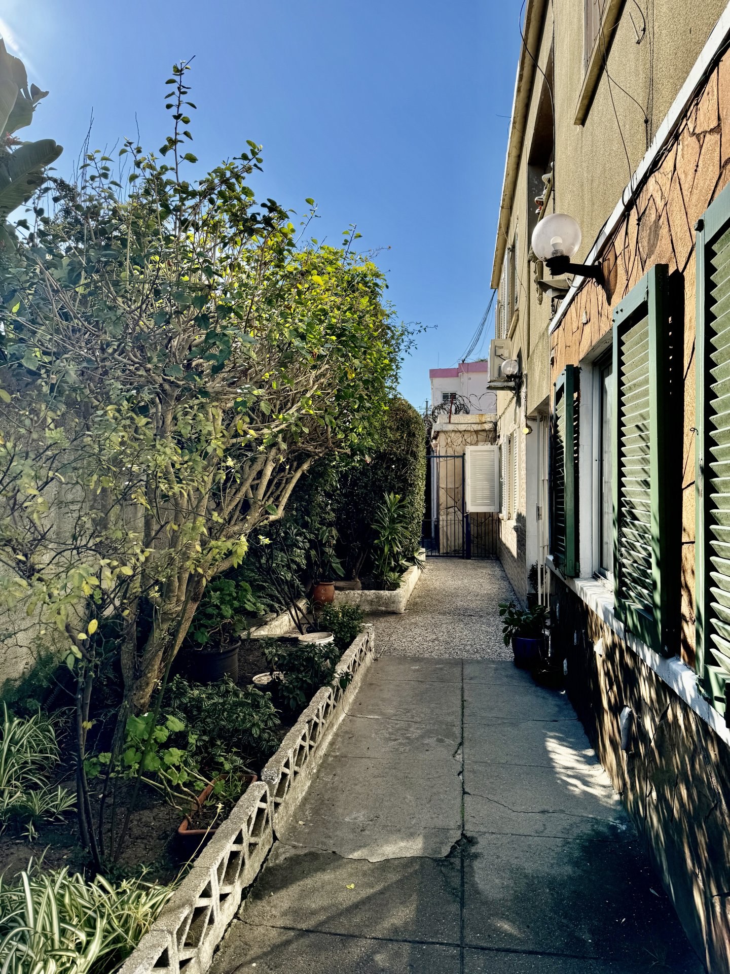 Apto en Alquiler – 2 Dormitorios – Prado Norte